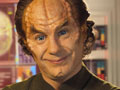 Dr. Phlox
